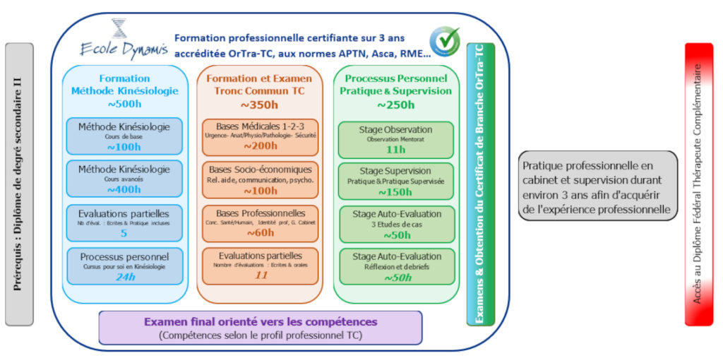 Formation professionnelle en kinésiologie