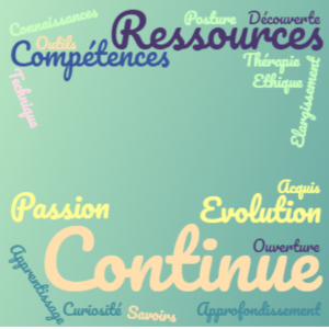 Formations continues pour professionnels de la santé