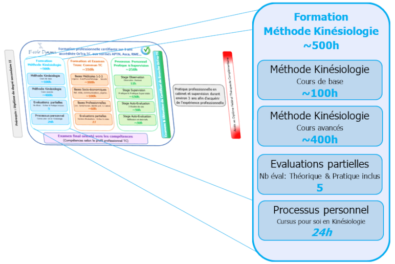 Modules de kinésiologie