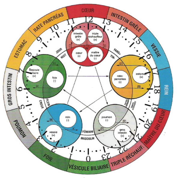 Santé par le toucher